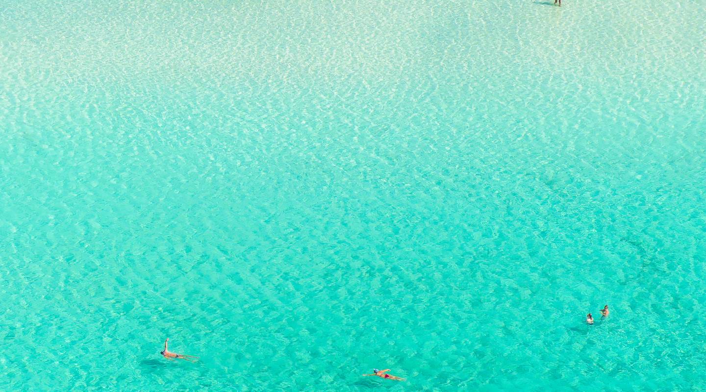 Nachhaltig Boot Chartern Mallorca